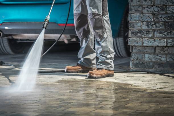 Best Gutter Cleaning  in Socorro, TX